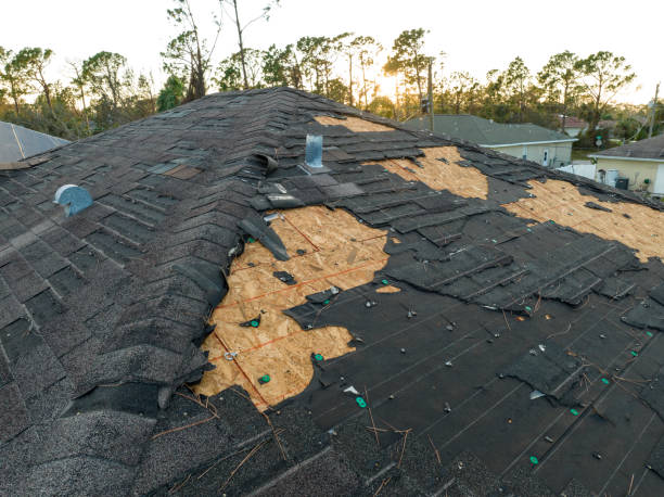 Best Green or Eco-Friendly Roofing Solutions  in Byesville, OH